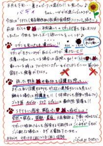 SFTS(重症熱性血小板減少症候群)について。続き～