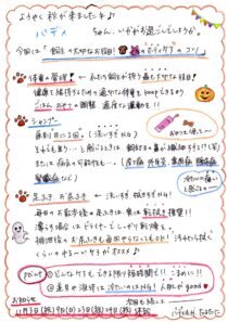 飼主の大切なお役目‼　　犬・猫の “ボディケア” のコツ