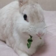 伊藤　菜菜殿